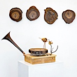 Steve Parker etches bird song into playable oak records